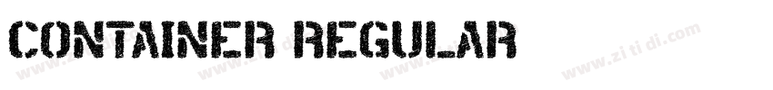 CONTAINER REGULAR字体转换